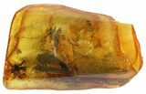 Detailed Fossil Wasp & Several Flies (Diptera) In Baltic Amber #50658-2